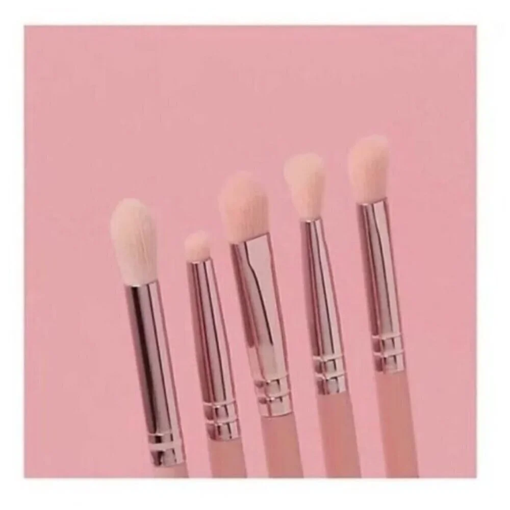 MOTD Cosmetics In A Blush Blending 5pc Eye Brush Set NEW
